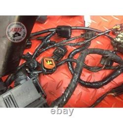 Main electrical harness Triumph Street Triple 675 R 2013 to 2016
