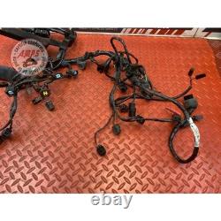 Main electrical harness Triumph Street Triple 675 R 2013 to 2016