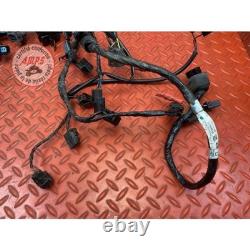 Main electrical harness Triumph Street Triple 675 R 2013 to 2016