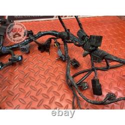 Main electrical harness Triumph Street Triple 675 R 2013 to 2016