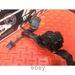 Main electrical harness Triumph Street Triple 675 R 2013 to 2016