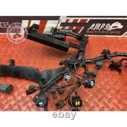 Main electrical harness Triumph Street Triple 675 R 2013 to 2016
