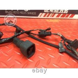 Main electrical harness Triumph Street Triple 675 R 2013 to 2016