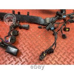 Main electrical harness Triumph Street Triple 675 R 2013 to 2016