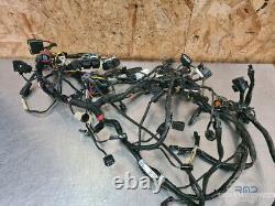 Main electrical harness Triumph Street Triple 765 RS 2017 to 2019