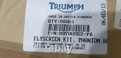 Original Triumph Pare-brise Flyscreen Speed Triple Street Triple 1050 675 Black