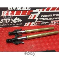 Pair of fork tubes Triumph 675 Street Triple 2007 to 2010