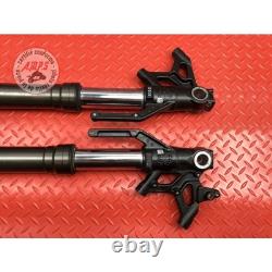 Pair of fork tubes Triumph 765 Street Triple RS 2023 to 2025