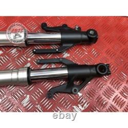 Pair of fork tubes Triumph 765 Street Triple R 2017 to 2019