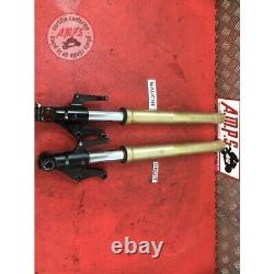 Pair of fork tubes for Triumph 675 Street Triple 2007 to 2010