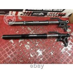Pair of fork tubes for Triumph 765 Street Triple RS 2017 to 2019