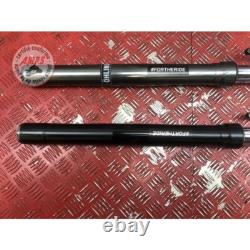Pair of fork tubes for Triumph 765 Street Triple RS 2017 to 2019