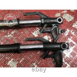 Pair of fork tubes for Triumph 765 Street Triple RS 2017 to 2019