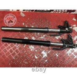 Pair of fork tubes for Triumph 765 Street Triple RS 2017 to 2019
