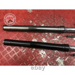 Pair of fork tubes for Triumph 765 Street Triple RS 2017 to 2019
