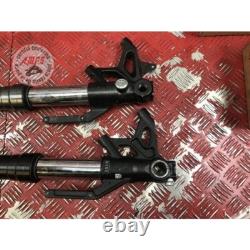 Pair of fork tubes for Triumph 765 Street Triple RS 2017 to 2019