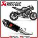 Pot D'exhaust Carbon Approved No Triumph Street Triple 765 2017 2019 Rs