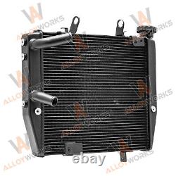 Radiator for Triumph Street Triple 765 R RS New Alu