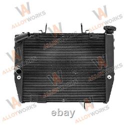 Radiator for Triumph Street Triple 765 R RS New Alu