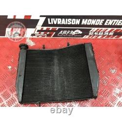 Radiator grille Triumph 660 Street Triple S 2017 to 2020