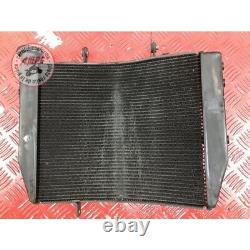 Radiator grille Triumph 660 Street Triple S 2017 to 2020