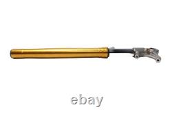 Right fork, USD front suspension Triumph Street Triple 765 RS 24-24