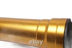 Right fork, USD front suspension Triumph Street Triple 765 RS 24-24