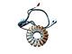 Stator Magnet Triumph Street Triple 765 Rs 2017/2019 T1300205