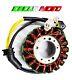 Stator Triumph Street Triple Daytona 675 2012 2013 2014 Reinforced Resin