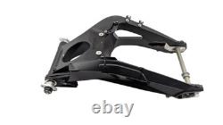 Swingarm TRIUMPH STREET TRIPLE 765 RS ABS 2023 to 2024