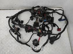 TRIUMPH STREET TRIPLE 675 2013/2016 Electrical Wiring System T2501645