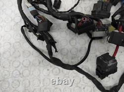 TRIUMPH STREET TRIPLE 675 2013/2016 Electrical Wiring System T2501645 TRIUMPH STREET TRIPLE 675 2013/2016 Electrical Wiring System T2501645