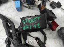 TRIUMPH STREET TRIPLE 675 2013/2016 Electrical Wiring System T2501645