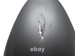 TRIUMPH STREET TRIPLE 675 R 2007 2012 Front Mudguard With Damage T2307562