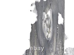 TRIUMPH STREET TRIPLE 675 R 2007 2012 Front Mudguard With Damage T2307562