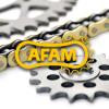 Triumph 675 Street Triple / R 07/13 Chain Kit 16/47 Afam / 3032857