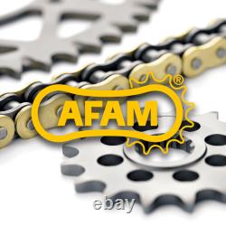 Triumph 675 Street Triple / R 07/13 Chain Kit 16/47 Afam / 3032857