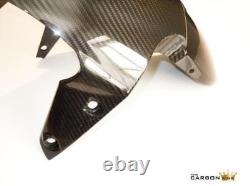 Triumph Daytona 675 / Street Triple Carbon Mudguard Serge Varnish FENDER