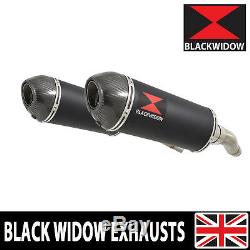 Triumph Street Triple 675 20072012 Double Silencer Stainless 300bt