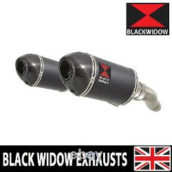 Triumph Street Triple 675 20072012 Double Stainless Exhaust Silence Bc20v