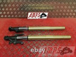 Triumph Street Triple 675 2013 To 2016 Fork Tube Pair