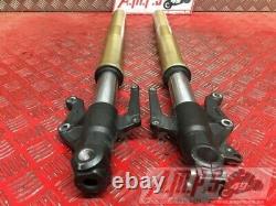 Triumph Street Triple 675 2013 To 2016 Fork Tube Pair