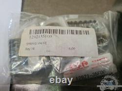 Valve spring racing kit UKRS Triumph Street Triple 765 RS 2017 to 2019