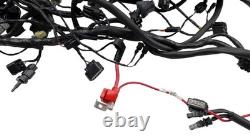Wiring Harness TRIUMPH STREET TRIPLE 765 RS ABS 2023–2024