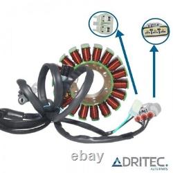 ALTERNATEUR STATOR pour TRIUMPH Street Triple 675 R 2013-2016