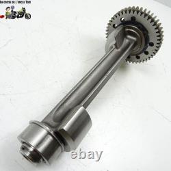 Balancier Triumph 765 street triple 2017