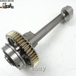 Balancier Triumph 765 street triple 2017