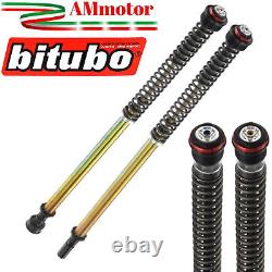 Cartouche De Fourche Triumph Street Triple 765 RS 2020 Bitubo Pressurisees Fork
