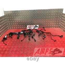 Faisceau électrique principale Triumph 660 Street Triple S 2017 à 2020