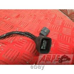 Faisceau électrique principale Triumph 660 Street Triple S 2017 à 2020